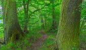 Percorso A piedi Schlepzig - Wanderweg Krausnik-Schlepzig (gelber Balken) - Photo 3