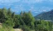 Randonnée Marche Ubaye-Serre-Ponçon - tour de costebelle  - Photo 13