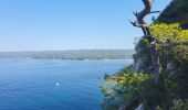 Trail Walking Bandol - Bandol - St Cyr par le sentier du littoral - Photo 6