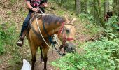 Percorso Equitazione Fouday - Fouday auberge du promont Tivio joyeux  - Photo 7