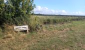 Trail Walking Port-des-Barques - st froult entre mer et marais 11.5 - Photo 5