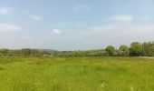 Trail Walking Durbuy - Petit-Han ... l Trail Walking Durbuy - Petit-Han ... l