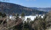 Randonnée Marche La Bresse - col de bramont - Photo 4