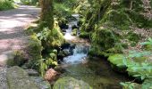 Excursión Senderismo Ottenhöfen im Schwarzwald - Karlsruher Gray - Photo 10