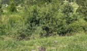 Trail Walking Ceillac - La cascade - Ceillac A/R - Photo 3