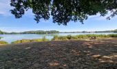 Tocht Stappen La Chapelle-sur-Erdre - Grand tour autour de Sucé-sur-Erdre - Photo 3