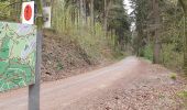 Trail On foot Aachen - GrenzRouten: Route 4 - Landgraben - Photo 7