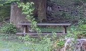 Tour Wandern Verdaches - VERDACHE.  Charcherie  , balade du Pré des Bois , cabane des bœufs  , o ĺ s - Photo 5