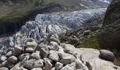 Excursión Senderismo Chamonix-Mont-Blanc - Argentieres, plan Joran,glacier,croix Lognan,les tines - Photo 6