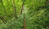 Trail Walking Olne - La balade de l'ail des Ours (Olne) 🥾 - Photo 4