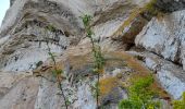 Tocht Stappen Le Rozier - Corniches de Mejean - Photo 11