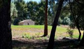 Trail Walking Bandol - SityTrail - fregate - Photo 5