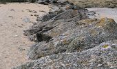 Tour Wandern Barfleur - Barfleur - Phare de Gatteville - Photo 2