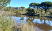 Tocht Stappen Le Muy - Le Rouet Vignes - Photo 2