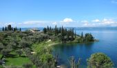 Tocht Te voet Torri del Benaco - Giro del Crero (Torri del Benaco) - Photo 7