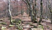 Tour Mountainbike Mittlach - Col du Platzerwasel-Markstein - Photo 1