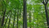 Excursión Senderismo Braine-Le-Comte - Marche Adeps à Hennuyères - Photo 12