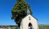 Tocht Stappen Aarlen - Arlon - MESA 2024  - Photo 6
