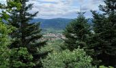 Tour Wandern Celles-sur-Plaine - celles sur plaine - Photo 2