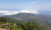 Excursión Senderismo Banyuls-sur-Mer - PuigSallfort_T - Photo 2