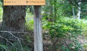 Trail Walking Varces-Allières-et-Risset - rocher de l'Ours 2 - Photo 1