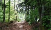 Randonnée Marche Theys - PETITE MARCHE AUTOUR DU COL DES AYES - Photo 1