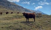 Tour Wandern Villar-d'Arêne - L'Aiguillon et Lac du Pontet 28.8.22  - Photo 8