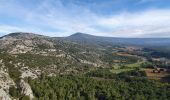 Tocht Stappen Crillon-le-Brave - Crillon - Photo 11