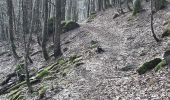 Trail Walking La Bresse - les Champis  - Photo 11