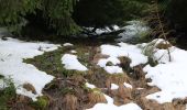 Percorso A piedi Baiersbronn - Schwarzenberg-Ruhestein - Photo 8