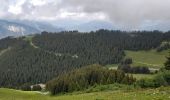 Trail Walking Arâches-la-Frasse - Les Carroz tête des Saix boucle - Photo 20