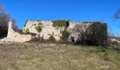 Tour Wandern Mazaugues - Mourre d'Agnis  - Photo 13