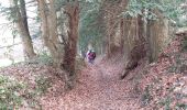 Trail Walking Saint-Pierre-de-Cormeilles - St Pierre de Cormeille - Photo 8