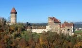 Tour Zu Fuß Klam - Rundwanderweg Klam - Photo 5