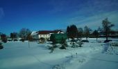 Randonnée A pied Rainbach im Mühlkreis - Weg der Farben - Photo 5