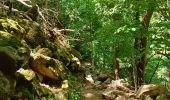 Randonnée Marche Thuès-Entre-Valls - Gorges de Carança - Annie le 29 juin 2022 - Photo 13