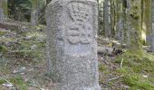 Randonnée Marche Chabreloche - Chabreloche - Les bois noirs - Photo 7