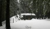 Percorso A piedi Slavonice - NS Pohádkovým lesem - Photo 5