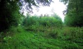 Trail Walking Rethondes - en forêt de Laigue_4_08_2019_Mont du Fouilleux_Mont des Singes_Marais de Francière - Photo 13