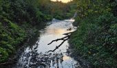 Tocht Stappen Villers-la-Ville - Rando Chevilepont du 5 nov 2023 - Photo 1