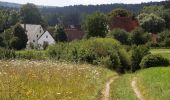 Excursión A pie Hirschbach - Rundwanderweg Hirschbach Nr. 1 - Photo 3