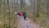 Trail Walking Marche-en-Famenne - Champlon  -Famenne - Photo 13