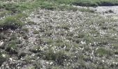 Tour Wandern Éourres - EOURRES , les Diamas , certes de Chanteduc , col de Branche , col de Garasse  , col  St Pierre o - Photo 1