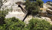 Tour Wandern Saint-Rémy-de-Provence - St Rémy de Provence  - Photo 10