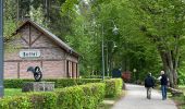 Excursión Senderismo Tandel - Promenade Bettel - Vianden - Photo 8