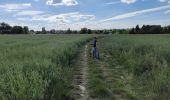 Tocht Mountainbike Auvers-Saint-Georges - Auvers saint Georges - Photo 1