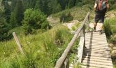 Tocht Stappen Orbey - randonnée des 3 lacs, lac noir , lac blanc et lac du former ( lac des truites) Vosges  - Photo 11