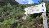 Trail Walking Santa Cruz de Tenerife - 20230125 Tachero-Taganana-Casa Forestal  - Photo 11