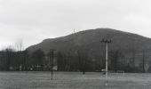 Tour Zu Fuß Unknown - Kammweg Hörselberge (Grüner Strich) - Photo 1