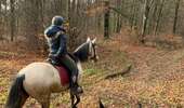 Excursión Paseo ecuestre Habay - Forêt de Rulles - Photo 10